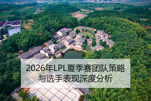 2026年LPL夏季赛团队策略与选手表现深度分析