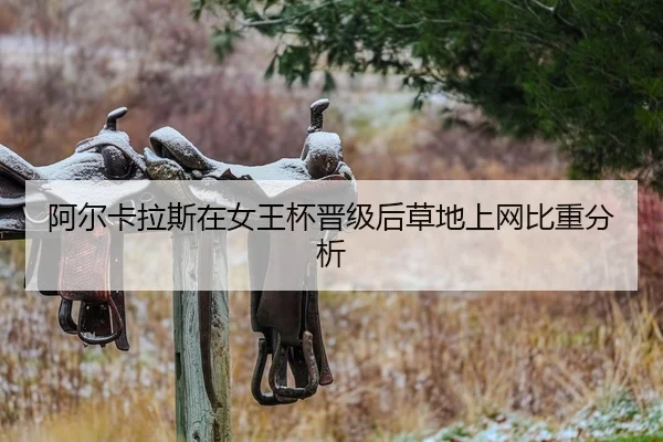 a-er-ka-la-si-zai-nv-wang-bei-jin-ji-hou-cao-di-shang-wang-bi-zhong-fen-xi-2-963.jpg